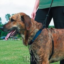 Szelki dla psa Easy Walk Trixie M 1302