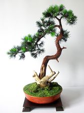 Bonsai Zokei Bunjin Sosna, sztuczne drzewko 
