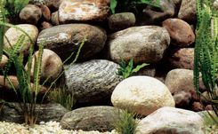 Marina TŁO 45CM,DŁ.15M PODWÓJNE DO TERRARIÓW