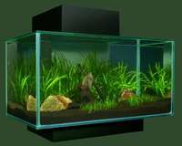 Fluval EDGE BLACK zESTAW AKWARYSTYCzNY CzARNY