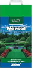 Trawa Wersal Td9420 5kg