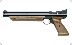 Crosman 1377