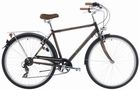 Arkus Vintage M 2012