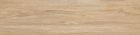 NovaBell Eco Dream EDM 322N Miele 22,5x90