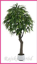 Mango B.Duże ~205cm Sztuczne Drzewko Drzewo
