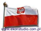 A. Flaga Polski Z Godłem 110x70 A. Flaga Polski Z Godłem 110x70