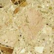 D&D Company Breccia Aurora Konglomerat Marmurowy D&D Company Breccia Aurora Konglomerat Marmurowy