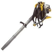Ryobi Rbl30Bpt 30Cm3