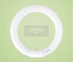 Świetlówka Kołowa G10Q 22W/827 Eglo 12404
