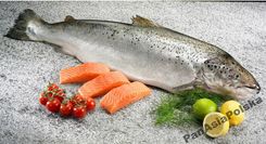 Łosoś świeży norweski 6/7 -20kg