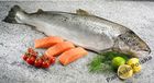 Łosoś świeży norweski 6/7 -20kg