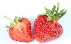 Truskawka (strawberry) puree owocowe 90%