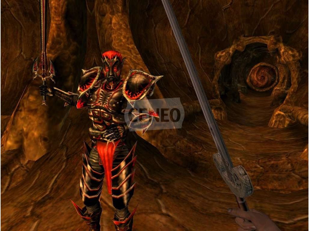 The Elder Scrolls III Morrowind (Gra PC) - Ceneo.pl