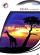 Kenia wybrzeże (DVD)