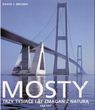 Mosty. Trzy tysiące lat zmagań z naturą