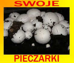 Domowa uprawa PIECzAREK- zestaw 5 kg.