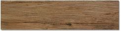 Cisa Ciliegio Rett Xilema 20x80
