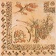 Paradyż Genesis 15x15 Beige