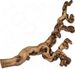 Trixie Reptiland  - konar winorośla - 45 - 70 cm