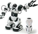 WowWee Robosapien