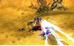 Gra Sacred 2 Fallen Angel (Gra PC) - zdjęcie 3