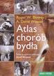 Atlas chorób bydła
