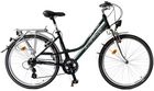 Arkus Classic 1100 D