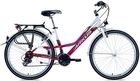 Arkus Classic 1000 D