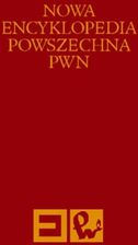 Nowa Encyklopedia Powszechna T.6