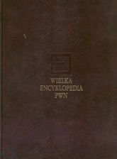 Wielka encyklopedia PWN t.11