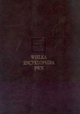Wielka encyklopedia PWN T.17