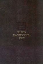 Wielka encyklopedia PWN T.19