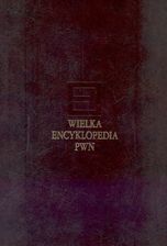 Wielka encyklopedia PWN T.24