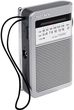 Sony ICF-S22CEV