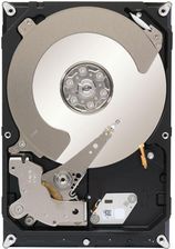 Seagate CONSTELLATION CS 3TB (ST3000NC002)