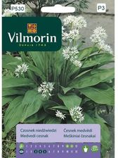 Vilmorin Garden Nasiona Ziół Czosnek Niedźwiedzi