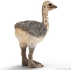 Schleich Młody Struś Schleich-14398