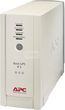 APC Back-UPS RS 800VA