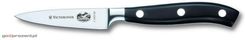 VICTORINOX Nóż kuty (7.7203.08)