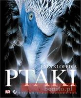 Ptaki Encyklopedia