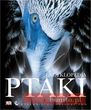 Ptaki Encyklopedia