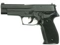 STTi - SRC SIG SAUER P226 Heavy Weight