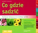 Co gdzie sadzić