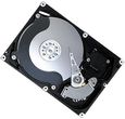 Samsung Spin Point F2EG 1TB 32MB 5400rpm SATA2 3,5cala (HD103SI)