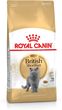 Royal Canin British Shorthair 34 2kg
