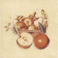Cersanit Sagra Giallo Motyw Owoce 3 10x10
