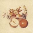 Cersanit Sagra Giallo Motyw Owoce 3 10x10