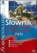 Wielki słownik rosyjsko-polski polsko-rosyjski PWN (PC)