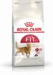 Royal Canin Fit 32 10 kg