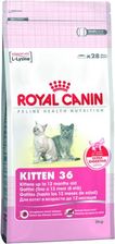 Royal Canin Kitten 36 4kg